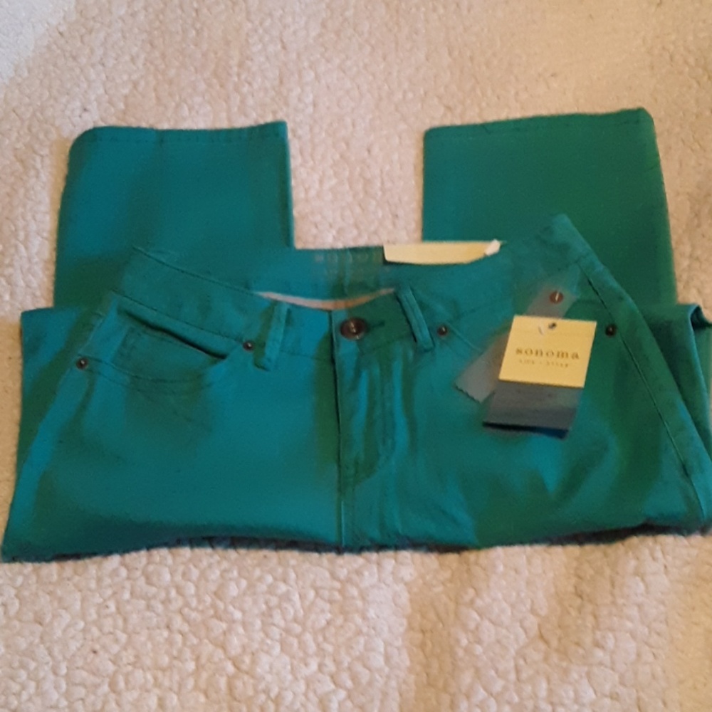NWT Sonoma 4p teal skinny jeans